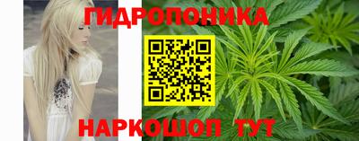 мдпв Партизанск