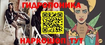 мдпв Партизанск