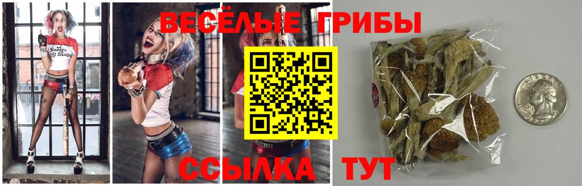 Серпухов  Псилоцибиновые грибы Magic Shrooms  Вход с VPN 